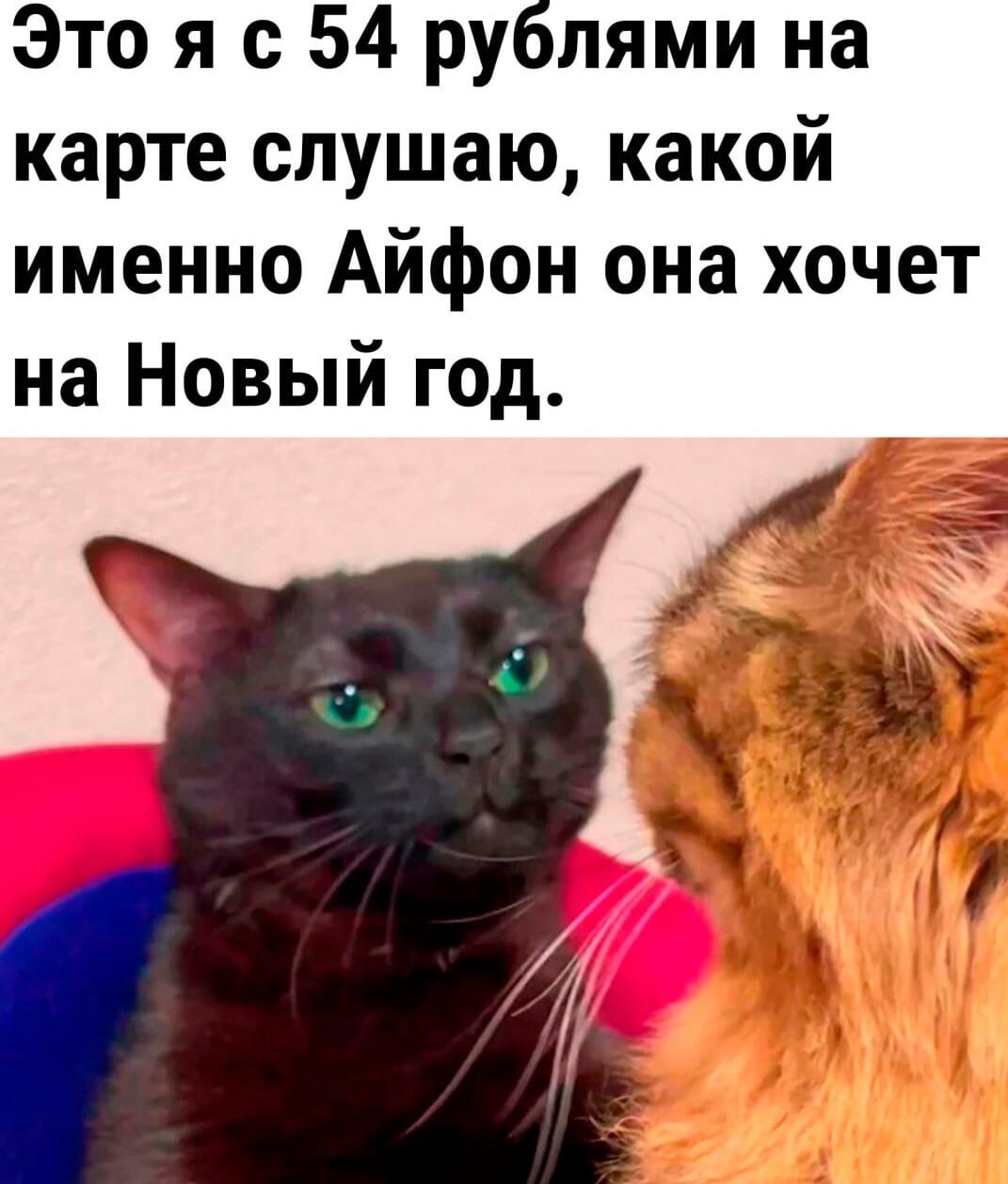 Это я с 54 рублями на карте слушаю какой именно Айфон она хочет на Новый год