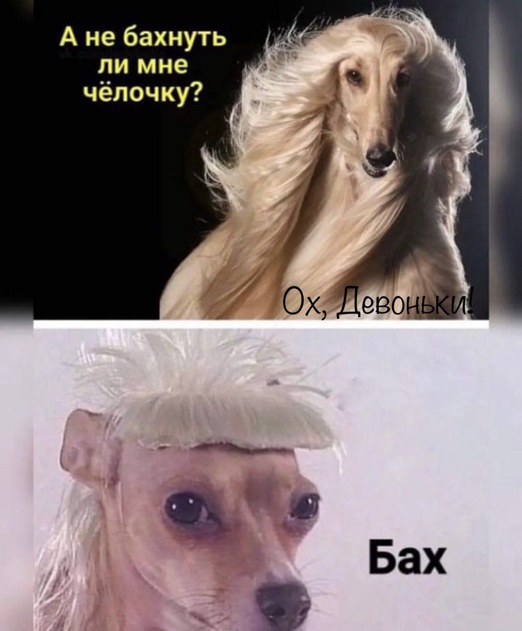 А не бахнуть ли мне чёпочку