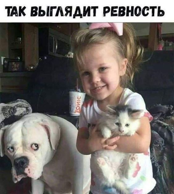 ТАК ВЫГАЯАИТ РЕВНОСТЬ