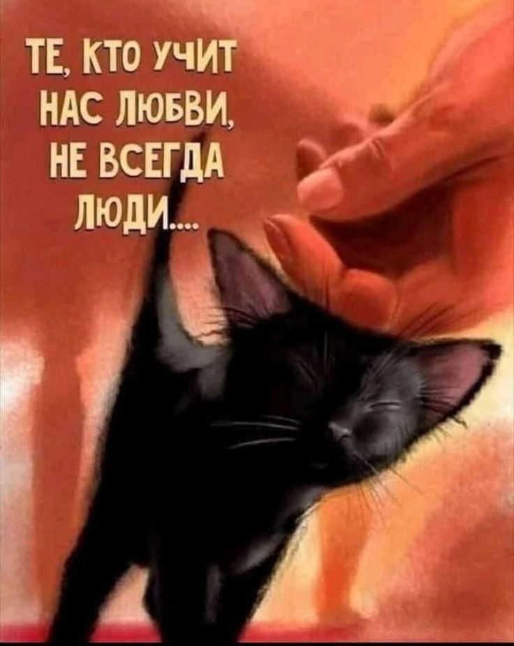 ТЕ КТо УЧИТ НАС ЛЮБВИ НЕ ВСЕГДА ЛЮДИ 1