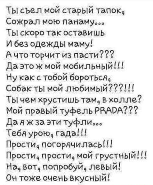 Ты съел мой старый тапок Сожрал мою панаму Ты скоро так оставишь И без одежды маму А что торчит из пасти Да это ж мой мобильный Ну как с тобой боротьт Собак ты мой любимый Ты чем хрустишь там в холле Мой правый туфель РКАВА до я ж за эти туфли Тебя урою года Прости погорячилась Прости прости мой грустный На вот попробуй левый Он тоЖе очень вкусный