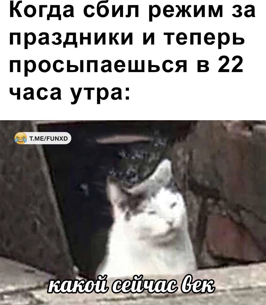 Когда сип режим за праздники и теперь просыпаешься в 22 часа утра