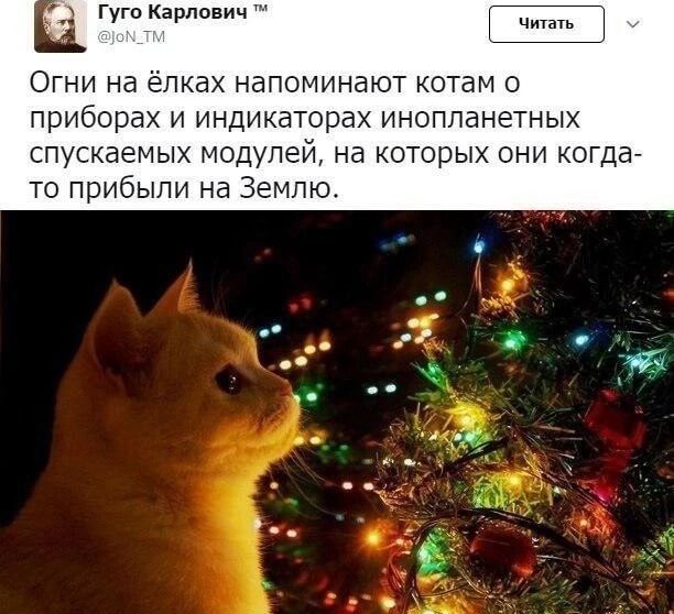 Гуго Карпа ии ц Огни на епках напоминают отаи приборах и индикаторах инопланетных спускаемых модупеи на которых они когда то прибыли на Землю