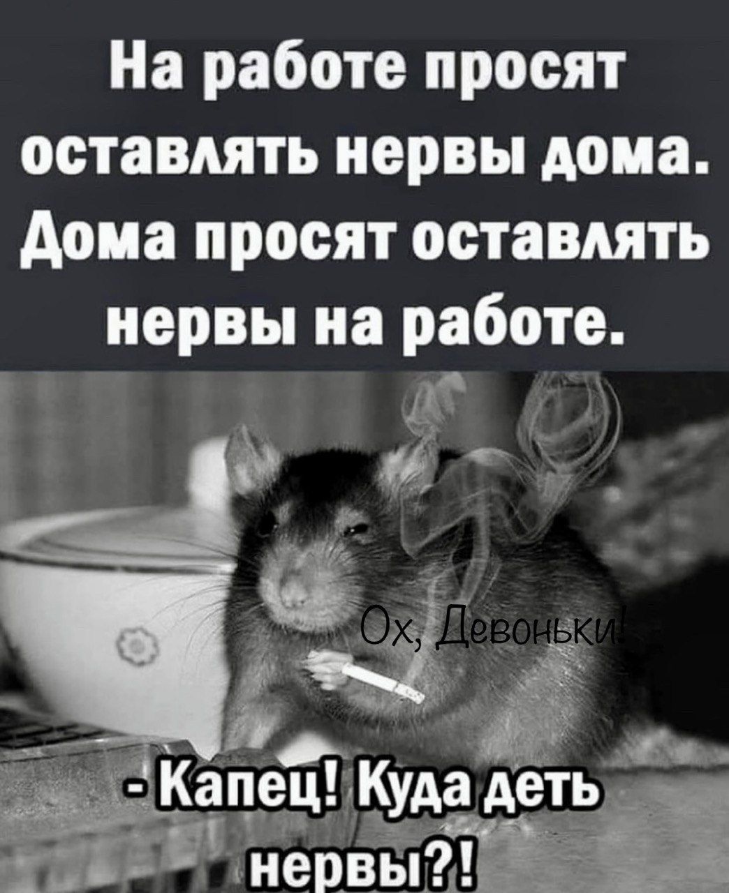 На работе просят оставлять нервы дома дона просят оставлять нервы на работе Капец Кудадёі а