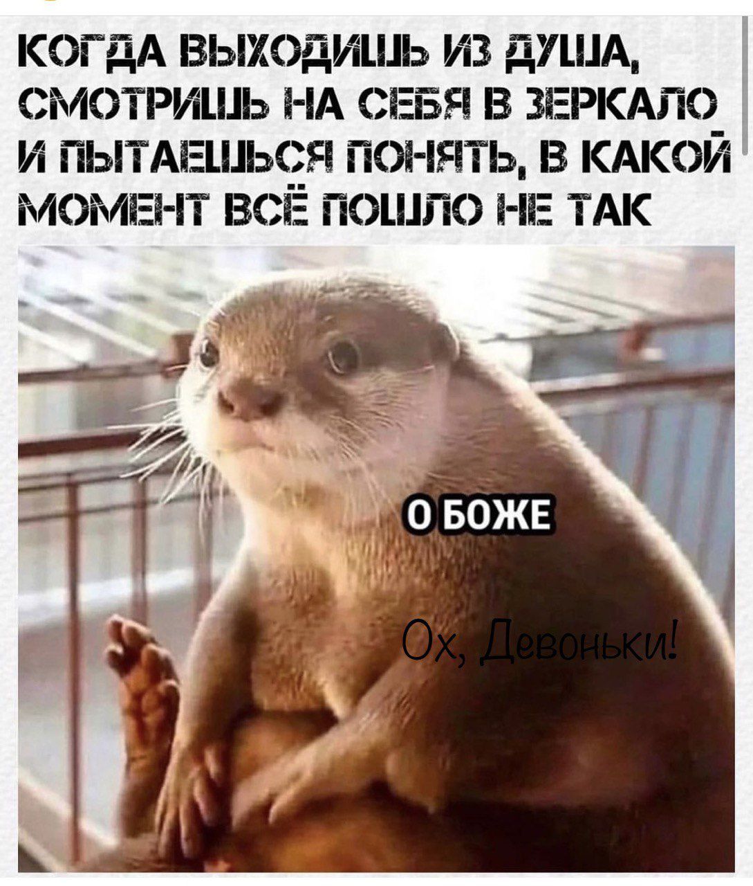 КОГДА ВЫХОДИЦЬ ИЗ дУША СМОТРШЦЬ НА СЕБЯ В ЗЕРКАЛО И ГЫТАЕЦЬЧЯ ПОНЕПЬ В КАКОЙ МОМЕНТ ВСЕ ПОШПО НЕ ТАК