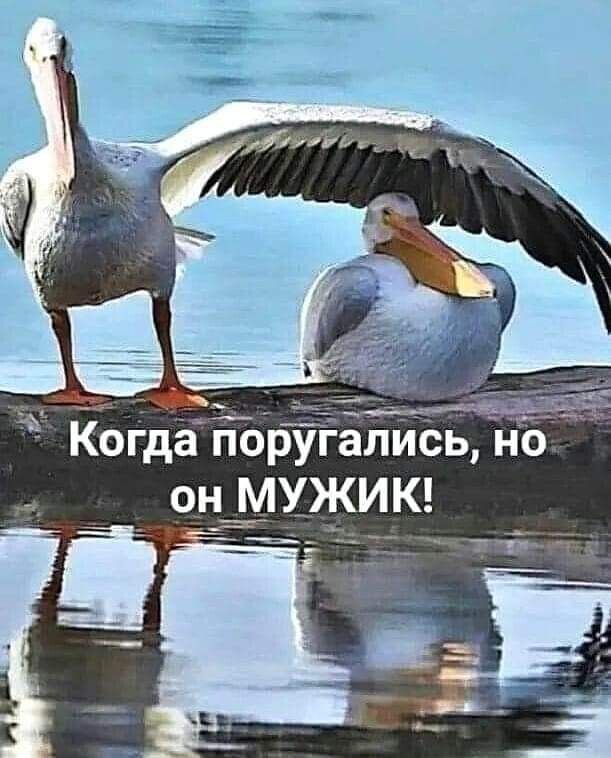 поругались _ 9н мужи