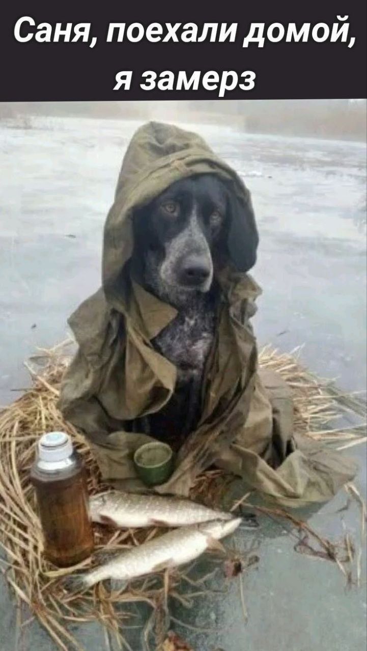 Саня поехали домой я замерз