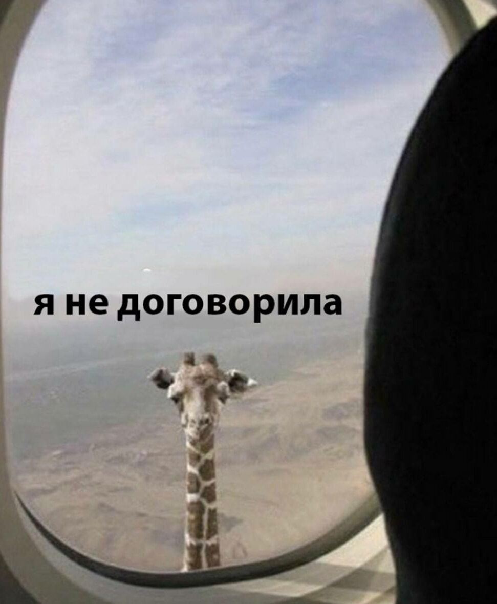 Я не дОГОВОРИЛЗ