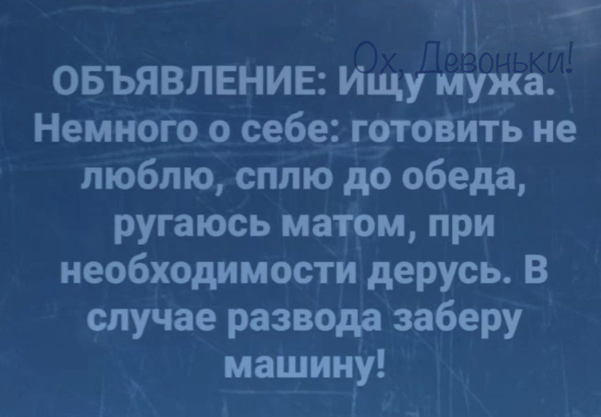 н ОБЪЯВЛЕНИЕ Ищу мужа Немного о себе готовить не люблю сплю до обеда ругаюсь матом при необходимости дерусь В случае развода заберу машину