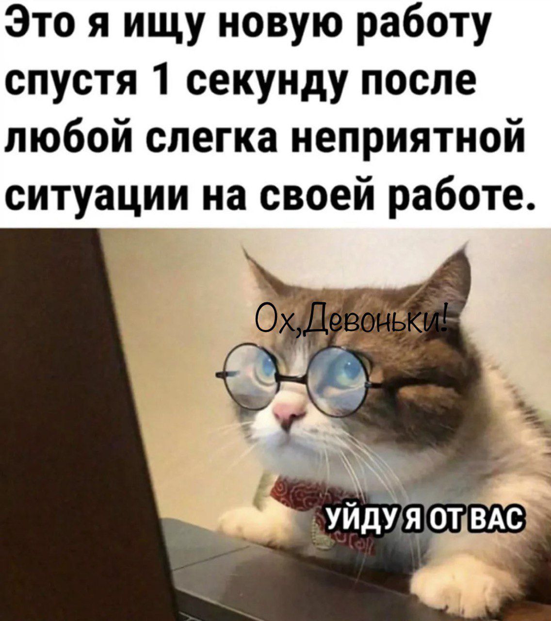 Это я ищу новую работу спустя 1 секунду после любой слегка неприятной ситуации на своей работе дуйдУчяоТВАс