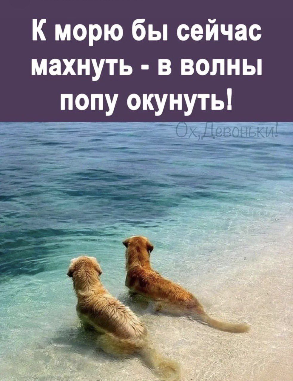 К морю бы сейчас махнуть в волны попу окунуть __ __ тт__д_