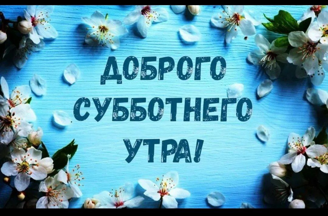 _ ь_г1_ дозрел к егэъветъдшге УТРА _