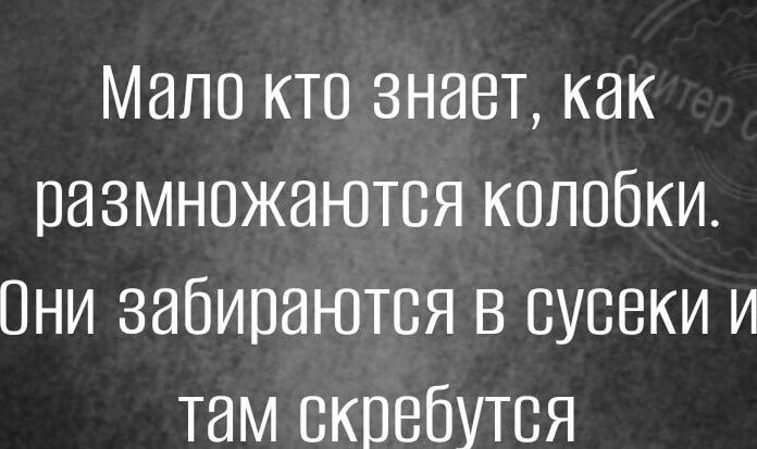 Мало кто знает как размножаются колобки Они забираются в сусеки и там скребутся