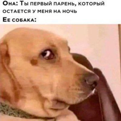 Ом Ты пепый пдрвиь который ОСТАЕТСЯ У МЕНЯ НА НОЧЬ ЕЕ СОБАКА
