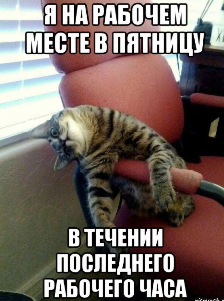 В ТЕЧЕНИИ ППВЛЕДНЕШ РАБПЧЕЮ ЧАСА