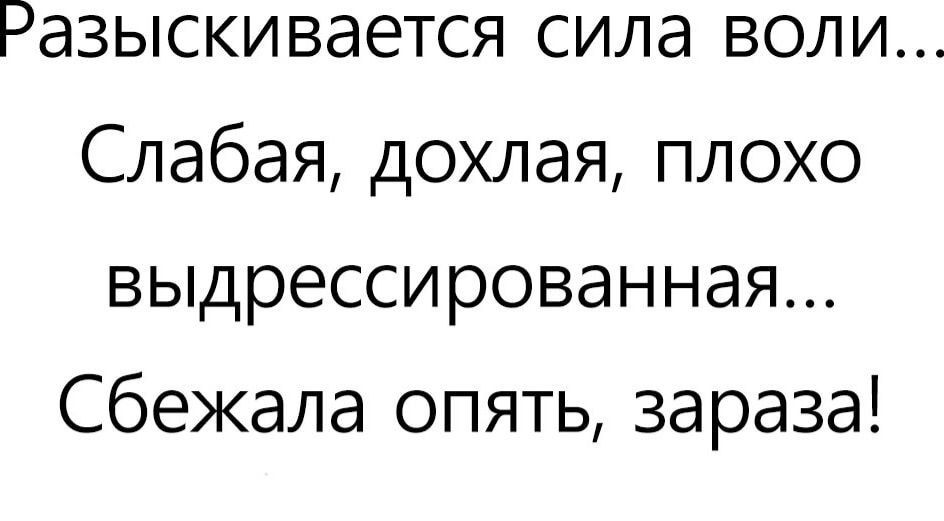 Разыскивается сила воли Слабая дохлая плохо выдрессированная Сбежала опять зараза