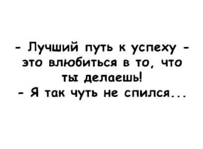 Лучший путь к успеху это влюбиться в то что ты делаешь Я так чуть не спился