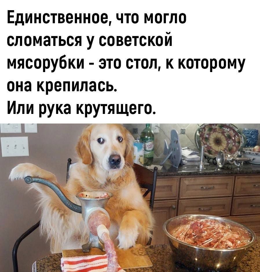 Единственное что могло сломаться у советской мясорубки это стол к которому она крепилась Или рука крутящего