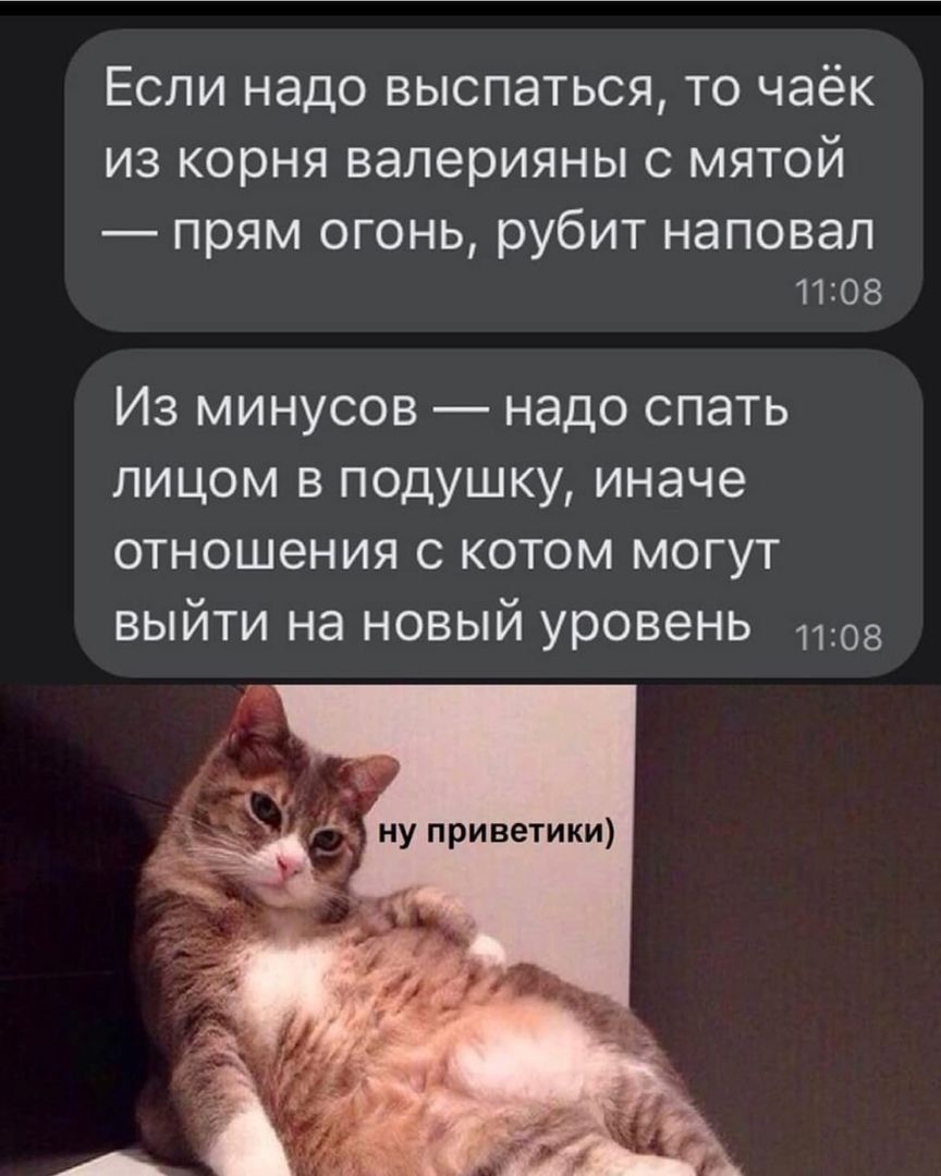ЕСЛИ надо ВЫСПЗТЬСЯ ТО чаёк ИЗ Корня валерияны С МЯТОЙ прям огонь рубит наповал 1108 Из минусов надо спать лицом в подушку иначе отношения с котом могут выйти на новый уровень 05 ну приветики _Ъв