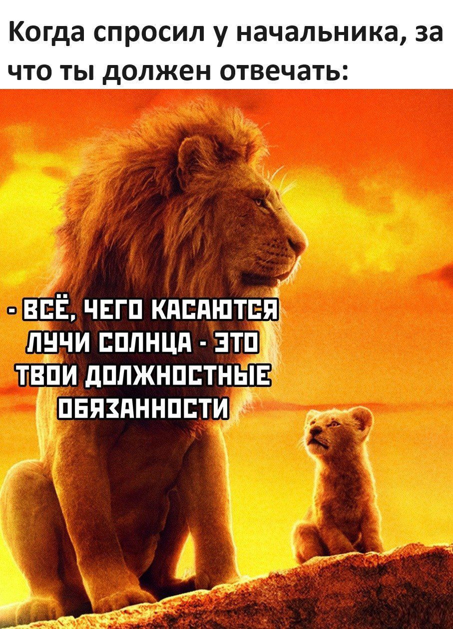 Когда спросил у начальника за что ты должен отвечать всЁ чвгп кппшптці пнчи плнцп эти твПи дппжнпптныв ПЕЯЗПННПБТИЁ