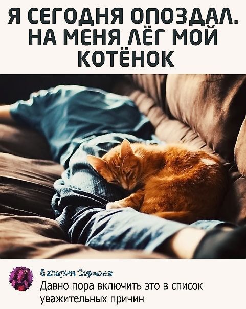 я сегодня о_поздвд нд МЕНЯ__ЕГ мои котенок оицищмм Давно пора ВКПЮЧИТЬ ЭТО В СПИСОК уважительных причин