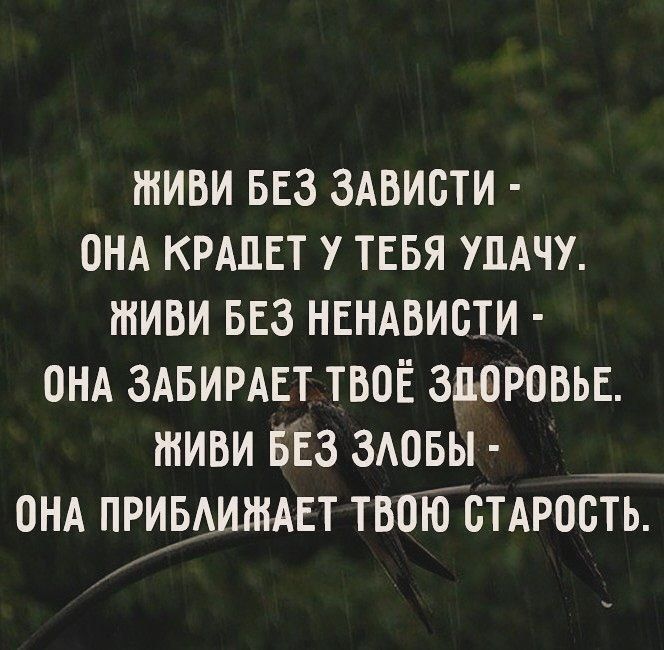 тиви вез зАвисти онд кишвт у тебя улдчу тиви вез нвндвисти ОНА здвирдвт твоЁ здоровье тиви БЕз здовы _ онд привиждвт твою стАрость