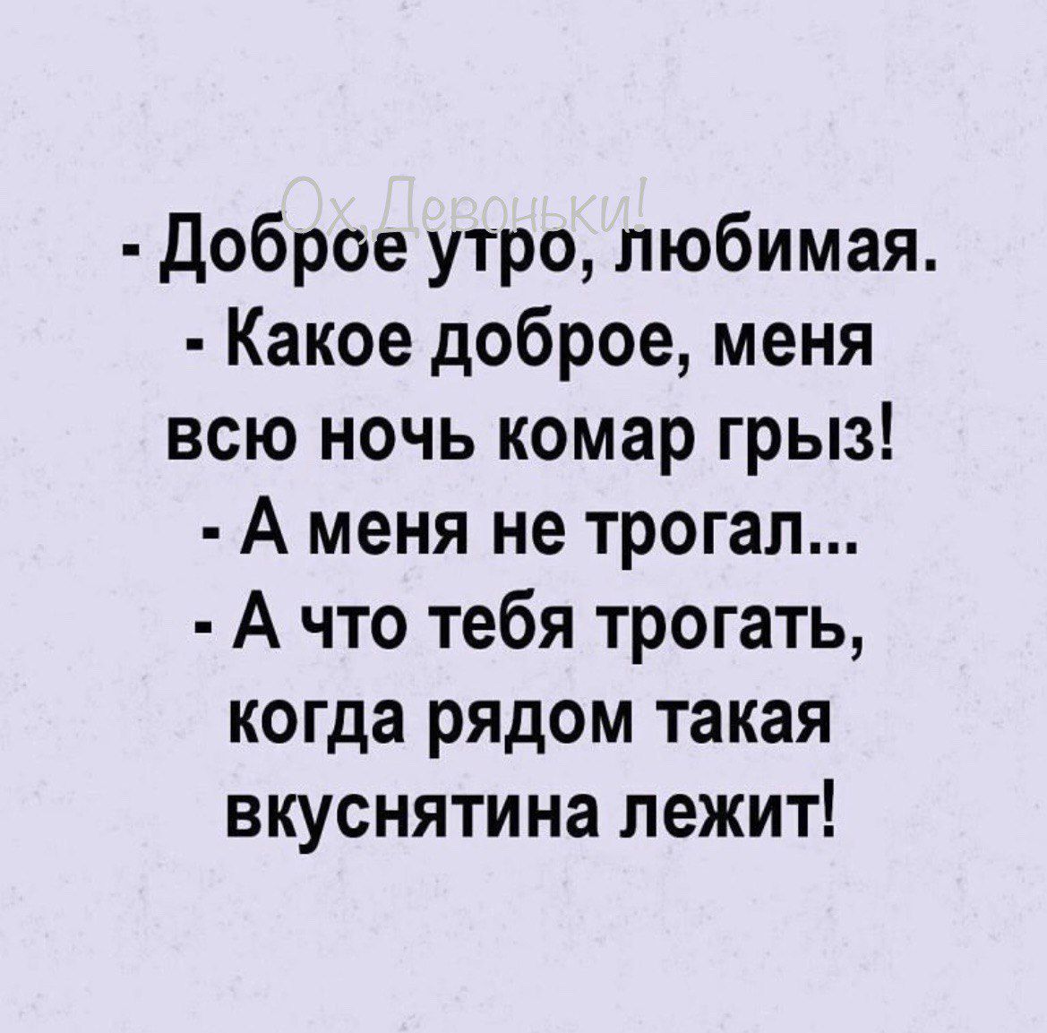 Доброе утро любимая Какое доброе меня всю ночь комар грыз А меня не трогал А что тебя трогать когда рядом такая вкуснятина лежит