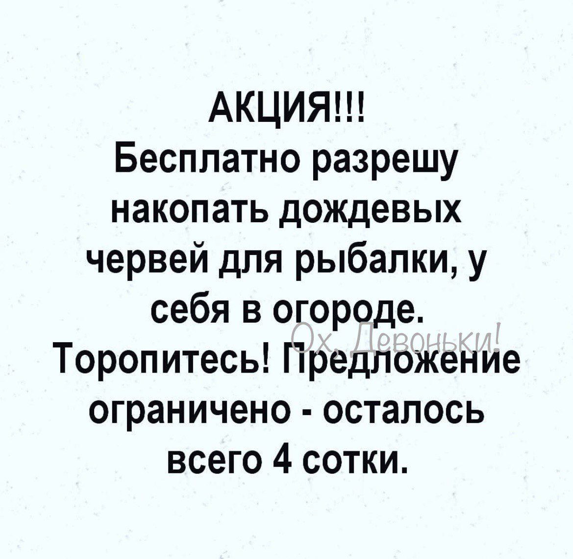 АКЦИЯ Бесплатно разрешу накопать дождевых червей для рыбалки у себя в огороде Торопитесь Предложение ограничено осталось всего 4 сотки