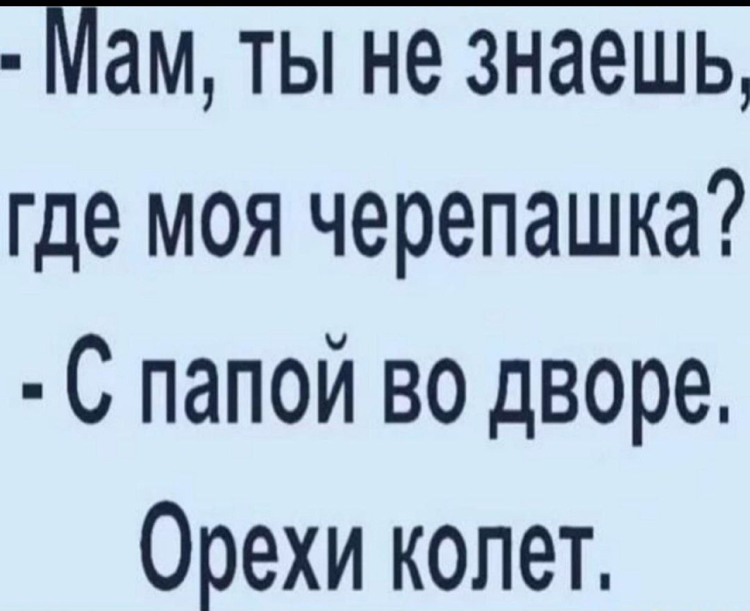 где моя черепашка С папой во дворе Орехи колет