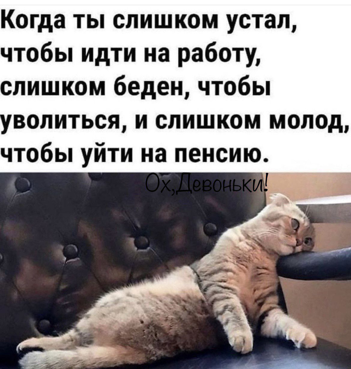 Когда ты слишком устал чтобы идти на работу слишком беден чтобы волиться и слишком молод чтобы уйти на пенсию