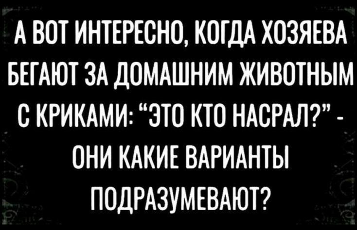 А ВОТ ИНТЕРЕСНО КОГДА ХОЗЯЕВА БЕГАЮТ ЗА ДОМАШНИМ ЖИВОТНЫМ С КРИКАМИ ЭТО КТО НАБРАЛ ОНИ КАКИЕ ВАРИАНТЫ ПОДРАЗУМЕВАЮТ