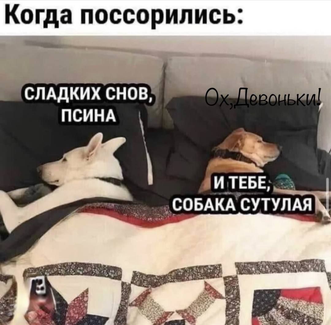 Когда поссорились слддких сновд ПСИНА