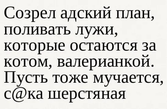 Созрел адский план поливать лужи которые остаются за котом валерианкой Пусть тоже мучается ска шерстяная