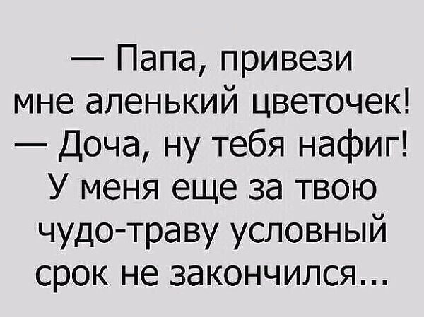 Папа привези мне аленький цветочек Доча ну тебя нафиг У меня еще за твою чудо траву условный срок не закончился