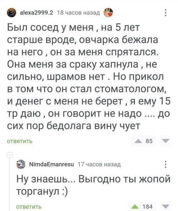 аіеха29991 твчасав назад Был сосед у меня на 5 лет старше вроде овчарка бежала на него он за меня спрятался Она меня за сраку хапнула не сильно шрамов нет Но прикол в том что он стал стоматологом и денег с меня не берет я ему 15 тр даю он говорит не надо до сих пор бедолага вину чует ответить А 85 7 МітонЕтапгези часов назад Ну знаешь Выгодно ты жопой торганул ответить А твц