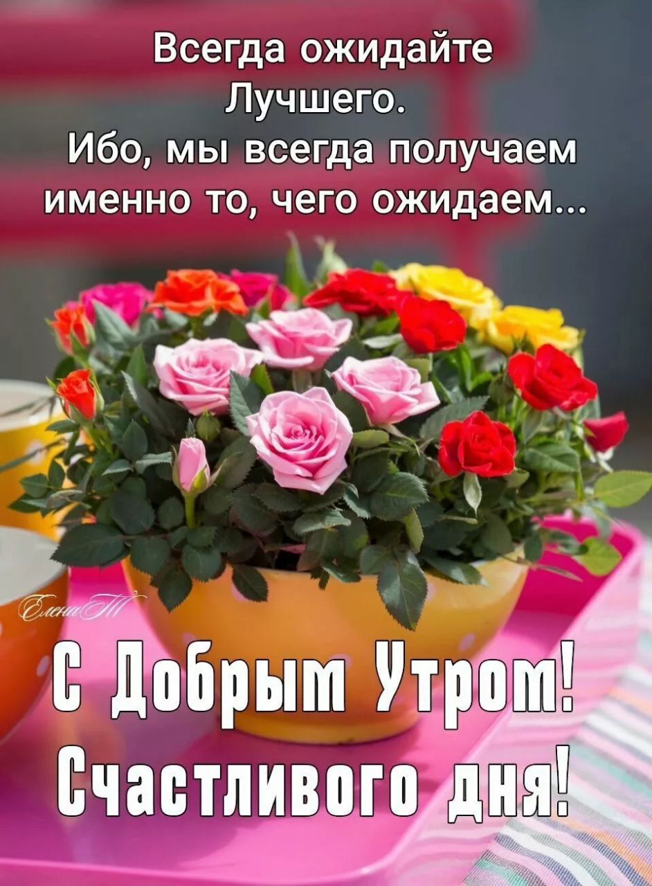 Всегда ожидайте Лучшего Ибо мы всегда получаем именно то чего ожидаем их ч гг иди 5 ещё Ё Брыт