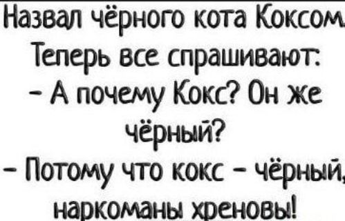 Назвал чёрного кота Коксом Теперь все спрашивают А почему Кокс Он же чёрный Потому что кокс чёрный наркоманы хроеновы