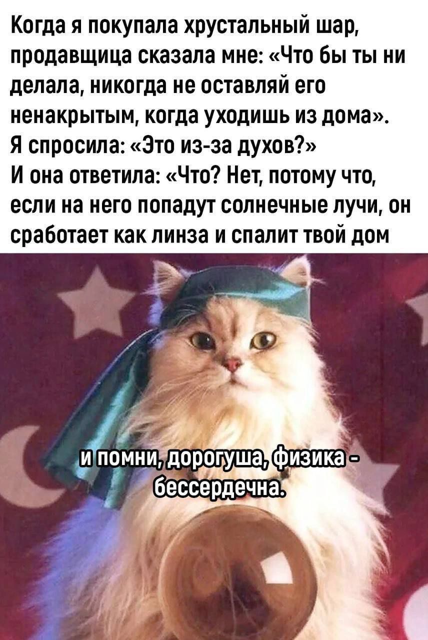 Когда я покупала хрустальный шар продавщица сказала мне Что бы ты ни делала никогда не оставляй его ненакрытым когда уходишь из дома Я спросила Это из за духов И она ответила Что Нет потому что если на него попадут солнечные лучи он сработает как линза и спалит твой дом