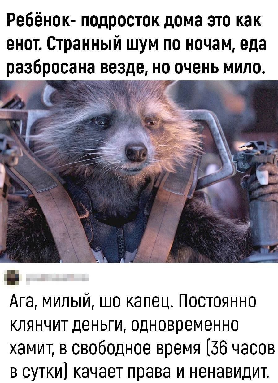 Ребёнок подросток дома это как енот Странный шум по ночам еда разбросана везде но очень мило Ага милый шо капец Постоянно клянчит деньги одновременно хамит в свободное время 36 часов в сутки качает права и ненавидит