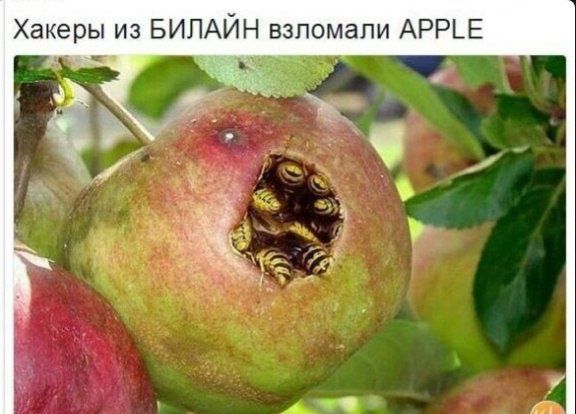 Хакеры из БИЛАЙН взломали АРРЕ