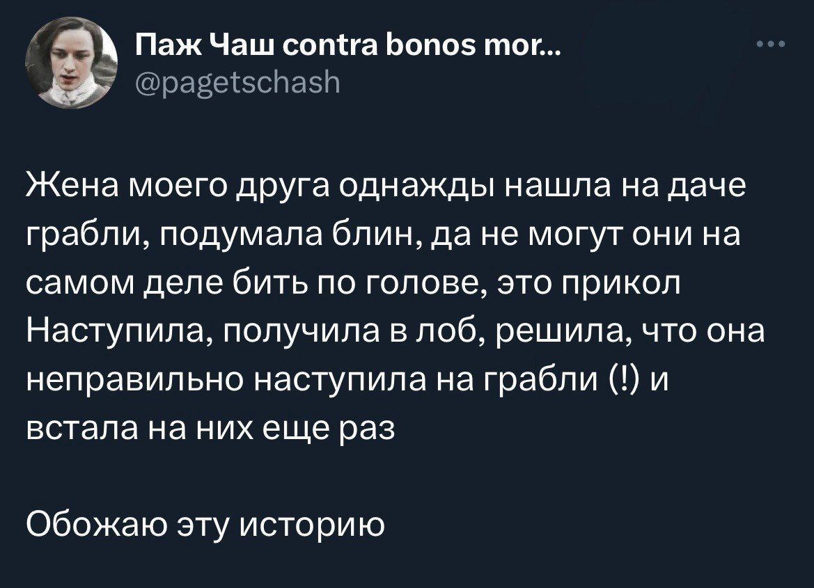 Паж Чаш сотга Бопо5 тог авезспас Жена моего друга однажды нашла на даче грабли подумала блин да не могут они на самом деле бить по голове это прикол Наступила получила в лоб решила что она неправильно наступила на грабли и встала на них еще раз Обожаю эту историю