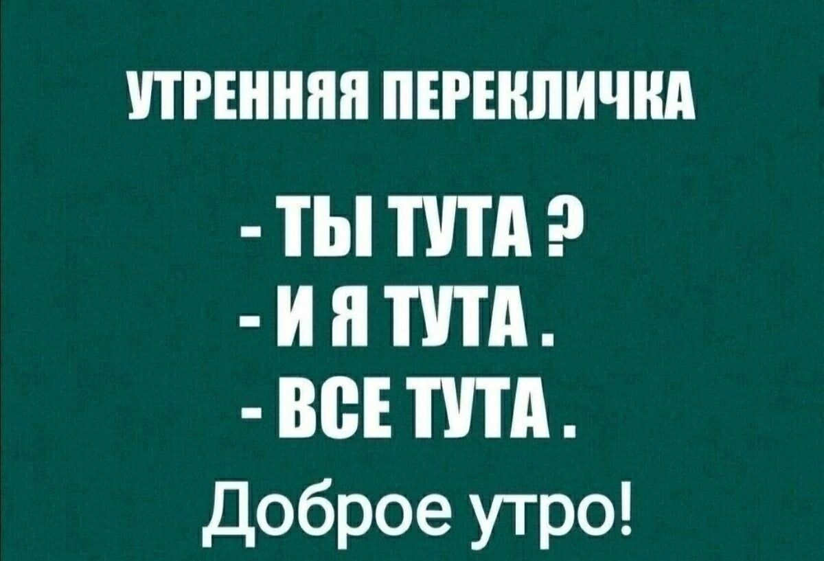 УТРЕННЯЯ ПЕРЕКЛИЧКА ТЫ ТУТА 2 ЙЯ ТУЛА ВСЕТУТА Доброе утро