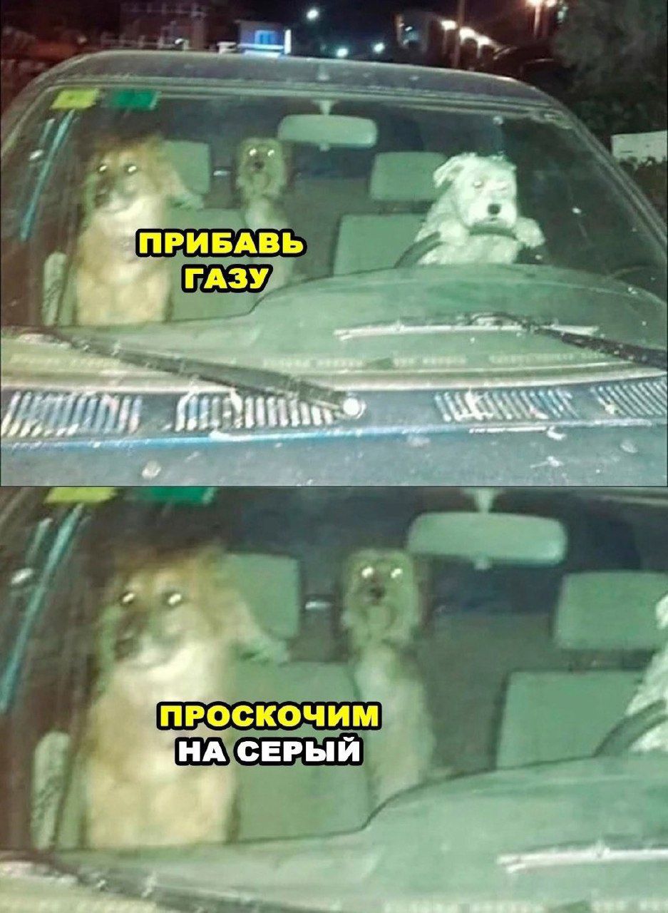 ПРОСКОЧИМ НАСЕРЫЙ я нн