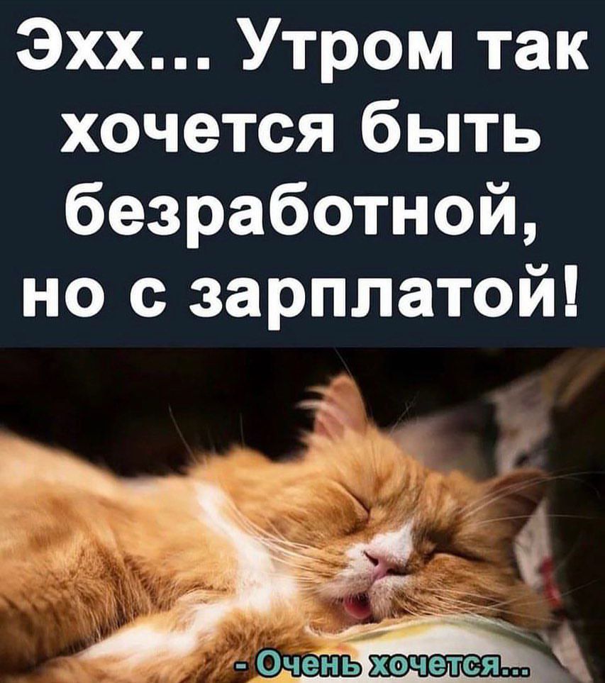 Эхх Утром так хочется быть безработной но с зарплатой 3 Ё Очен ьіхоічетея Ъ