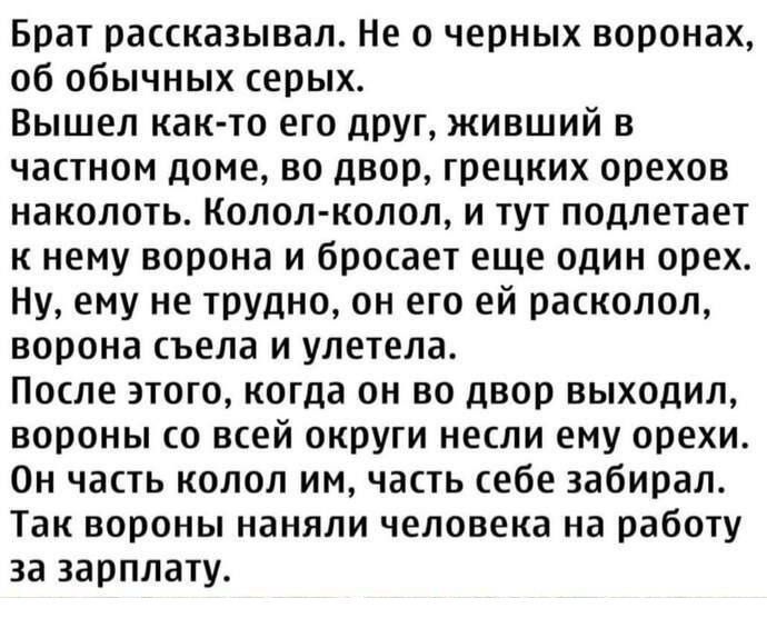 Брат рассказывал Не о черных воронах об обычных серых Вышел как то его друг жЖивший в частном доме во двор грецких орехов наколоть Колол колол и тут подлетает к нему ворона и бросает еще один орех Ну ему не трудно он его ей расколол ворона съела и улетела После этого когда он во двор выходил вороны со всей округи несли ему орехи Он часть колол им ч