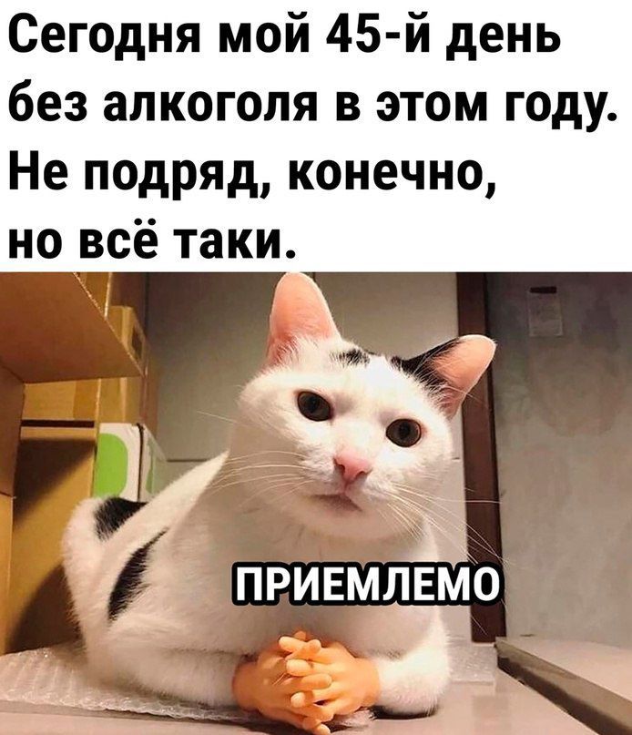 Сегодня мой 45 й день без алкоголя в этом году Не подряд конечно но всё таки