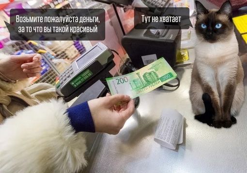 Возьмите почалуйста деньги Титнежватает _ заточто вытакой красивый