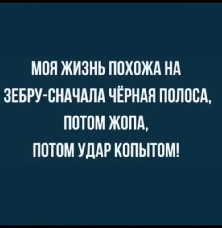 МОЯ ЖИЗНЬ ПОХОЖА НА ЗЕБРУ СНАЧАЛА ЧЁРНАЯ ПОЛОСА ПОТОМ ЖОПА ПОТОМ УДАР КОПЫТОМ