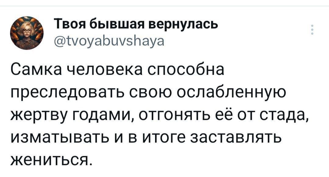 Твоя бывшая вернулась моуабиу5Пауа Самка человека способна преследовать свою оспабпенную жертву годами отгонять её от стада изматывать и в итоге заставлять жениться