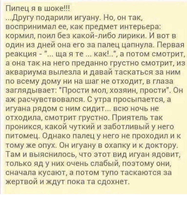 Пипец я в шоке Другу подарили игуану Но он так воспринимал ее как предмет интерьера кормил поил без какой либо лирики И вот в один из дней она его за палец цапнула Первая реакция ща я те как а потом смотрит а она так на него преданно грустно смотрит из аквариума вылезла и давай таскаться за ним по всему дому ни на шаг не отходит в глаза заглядывает